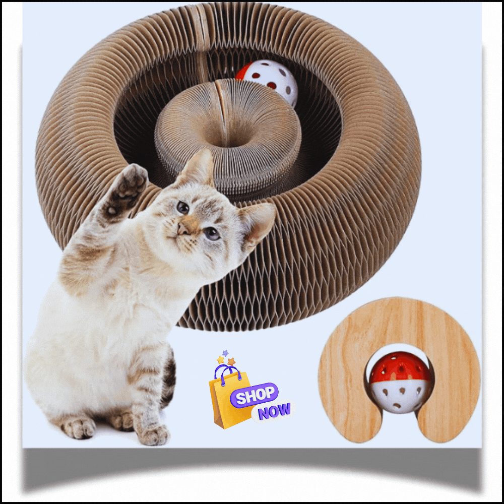 🐾 Ultimate Cat Fun!