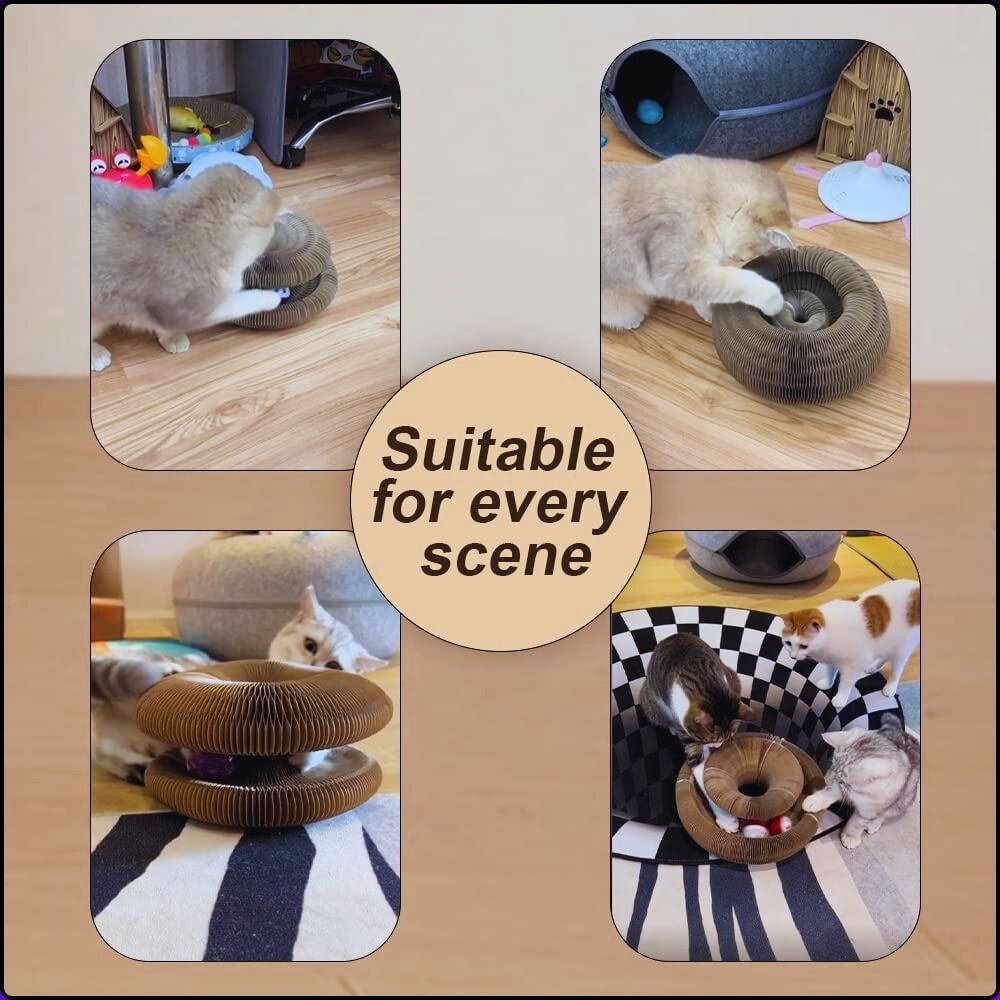🐾 Ultimate Cat Fun!