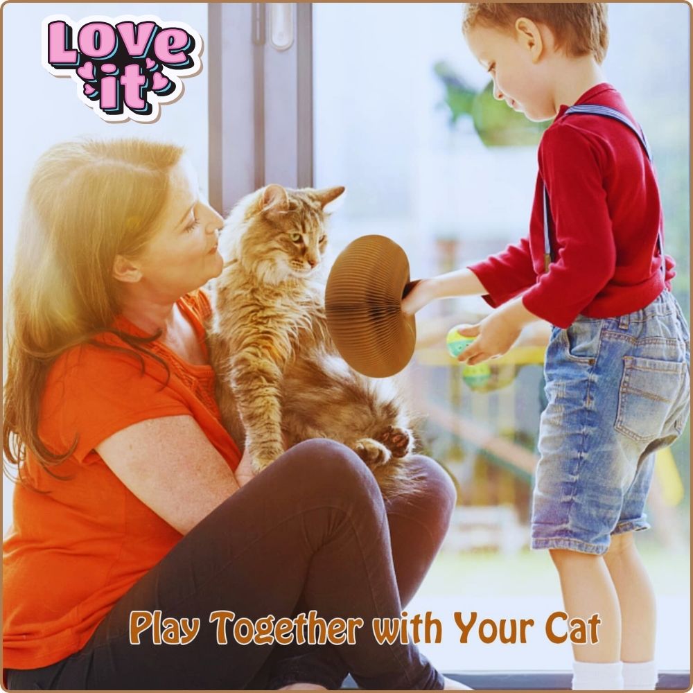🐾 Ultimate Cat Fun!