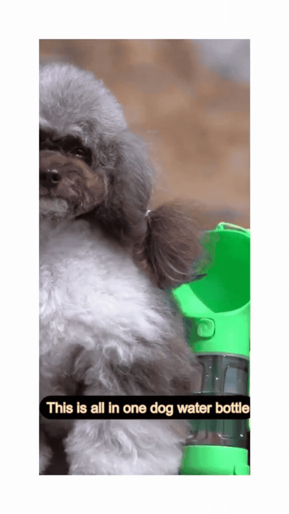 Portable Pet Hydration Station