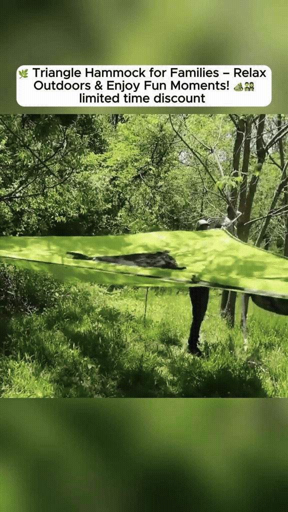 Comfort Breeze Outdoor Hammock