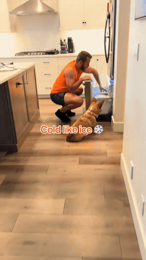Dog Cooling Vest for Adventures