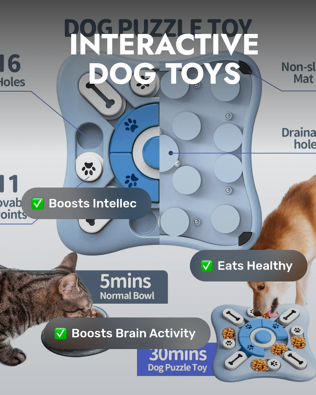 Smart Dog Feeder