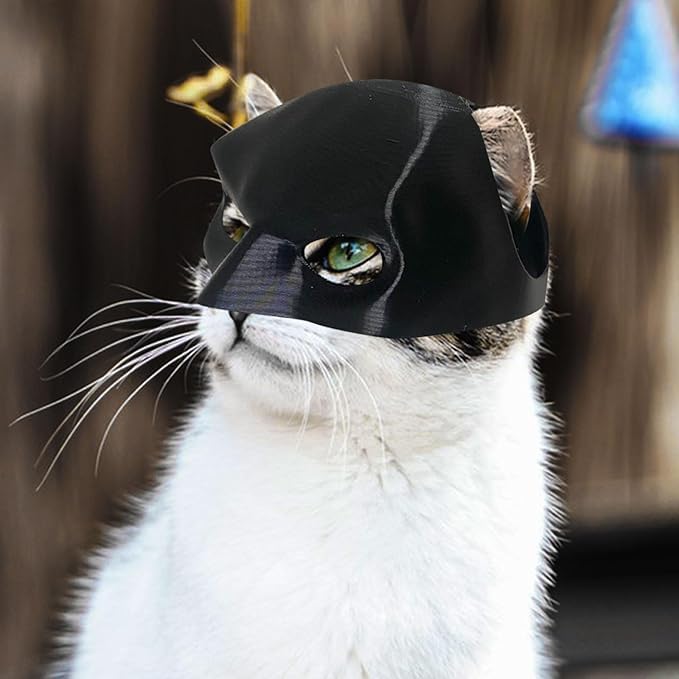 💥🐾 Bat Cat Avenger Decorative Mask