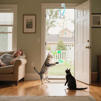 Door Hanging Auto-Rebound Cat Toy