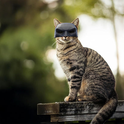 💥🐾 Bat Cat Avenger Decorative Mask