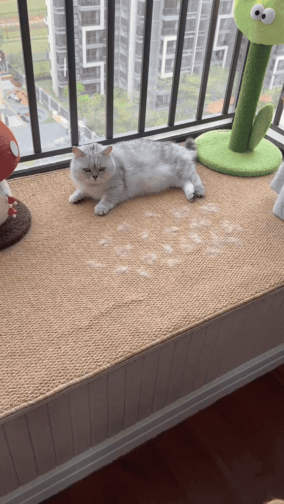 Pet Hair Magic Mitts