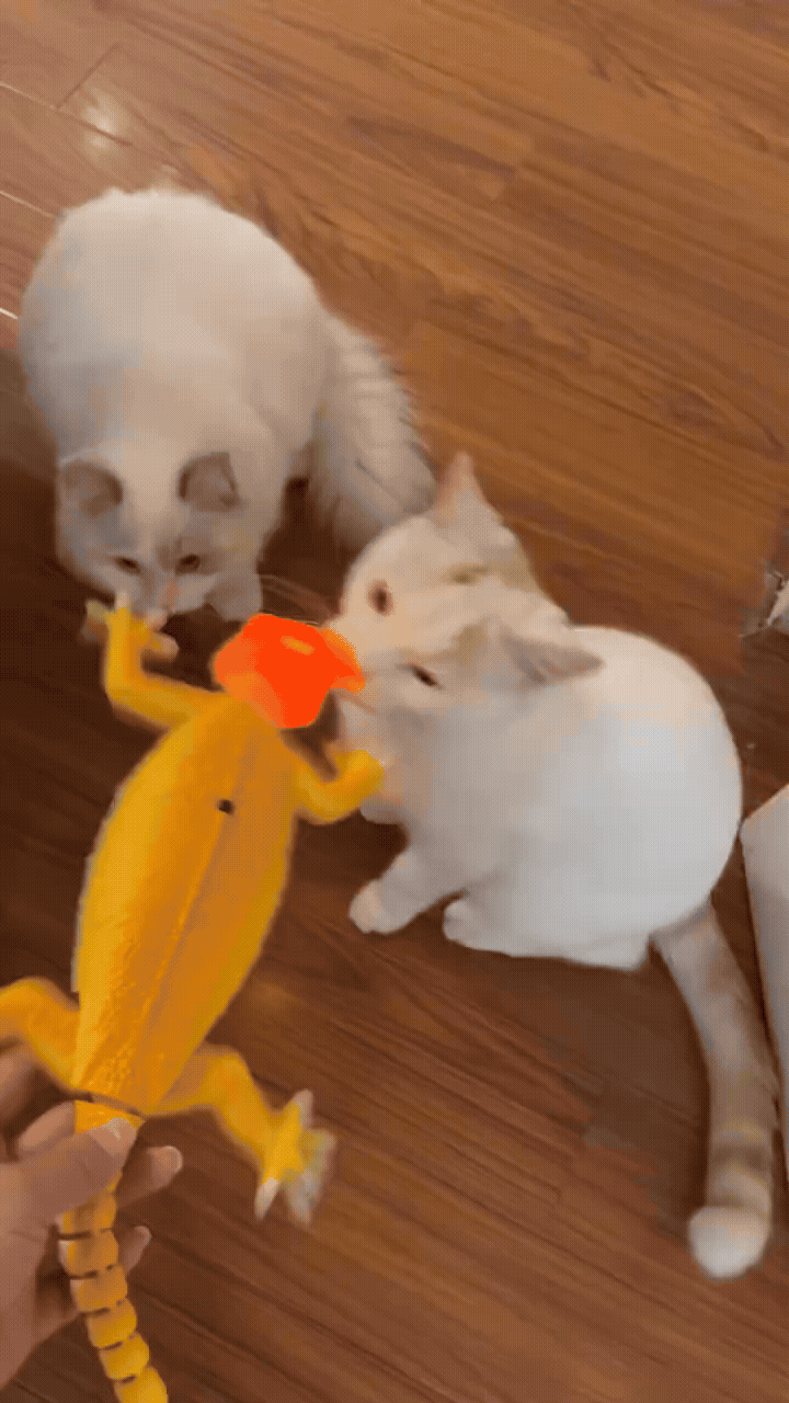 <strong>"Transform Playtime into Unforgettable Adventures!"</strong>