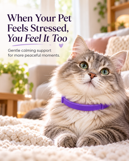 Calmira™ Pheromone Calming Collar for Pets