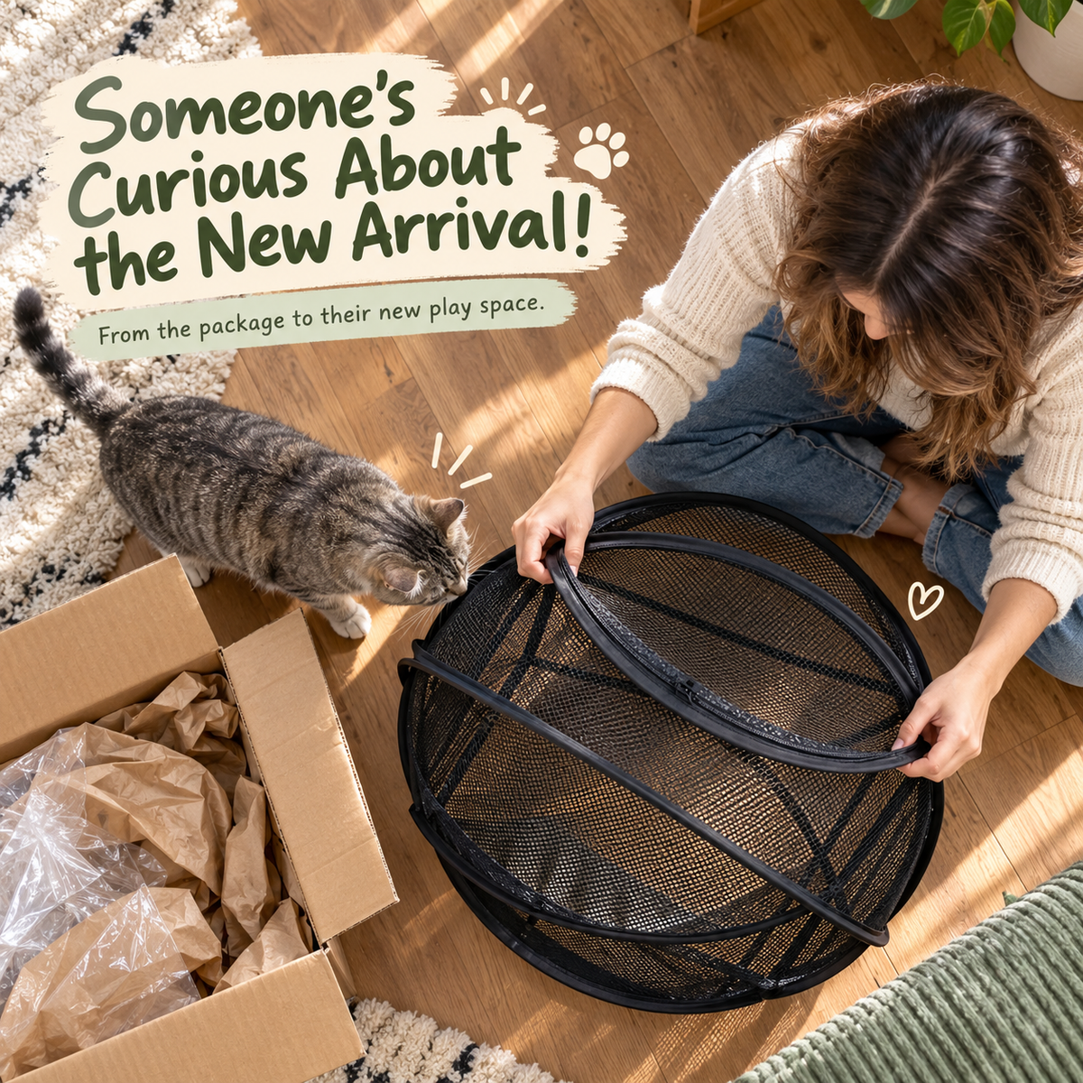 Purrora™ 360° Cat Playpen Ball