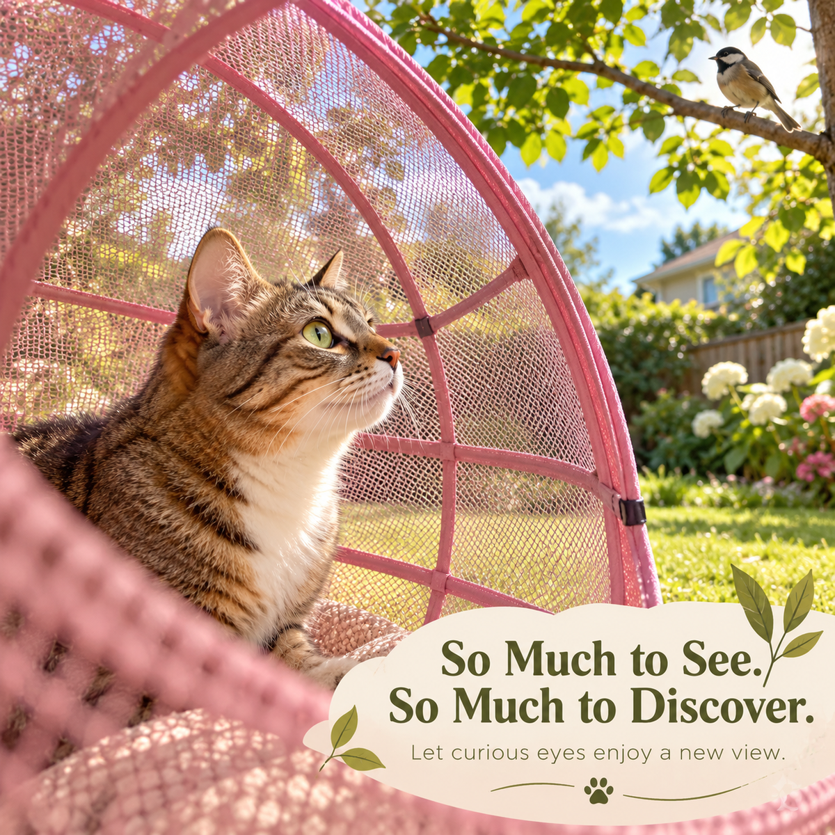 Purrora™ 360° Cat Playpen Ball