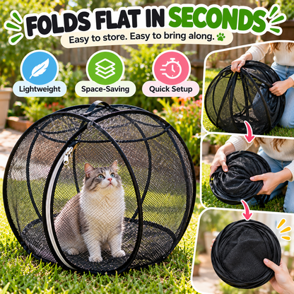Purrora™ 360° Cat Playpen Ball