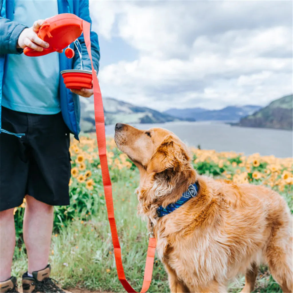 "Unleash Joyful Adventures with Your Furry Friend"