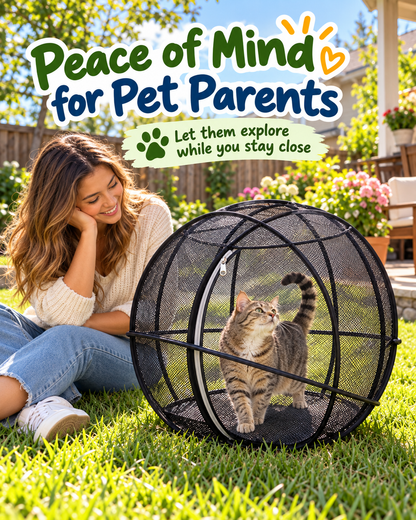 Purrora™ 360° Cat Playpen Ball