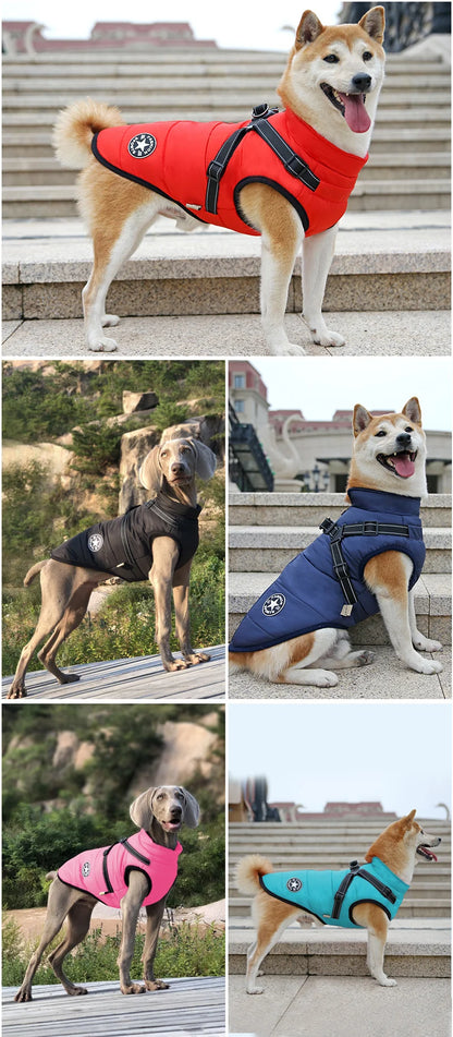 Waterproof Winter Dog vest