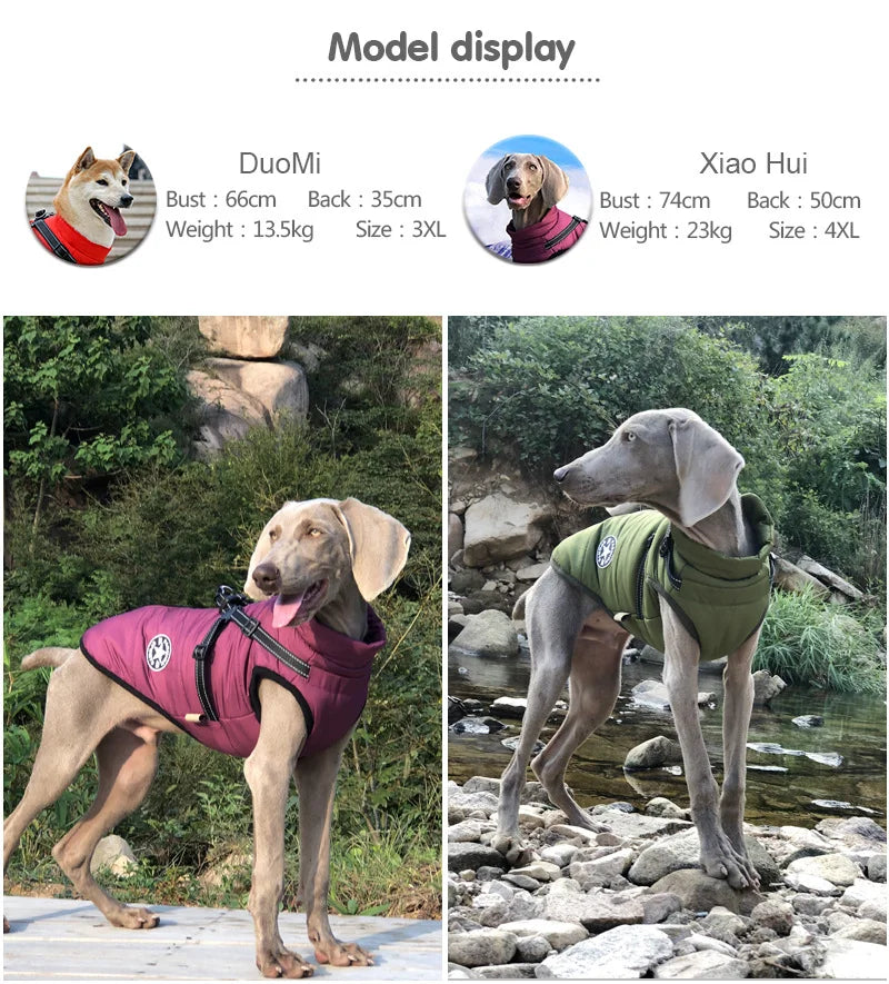 Waterproof Winter Dog vest