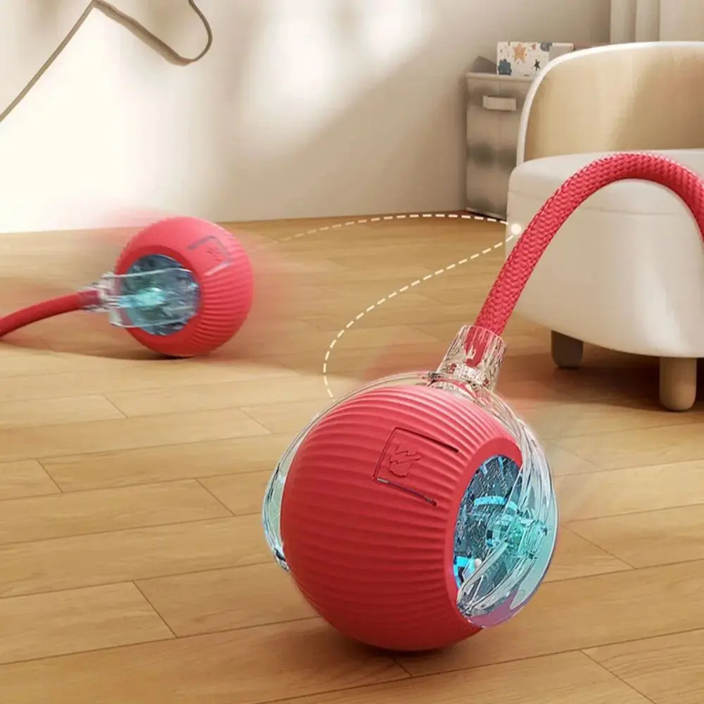 Smart Cat/Dog Play Ball
