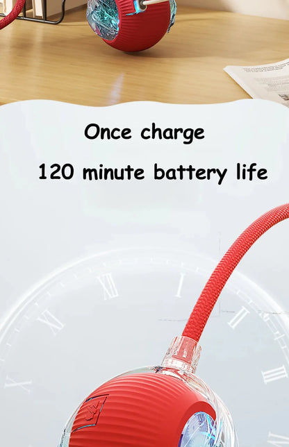 Smart Cat/Dog Play Ball