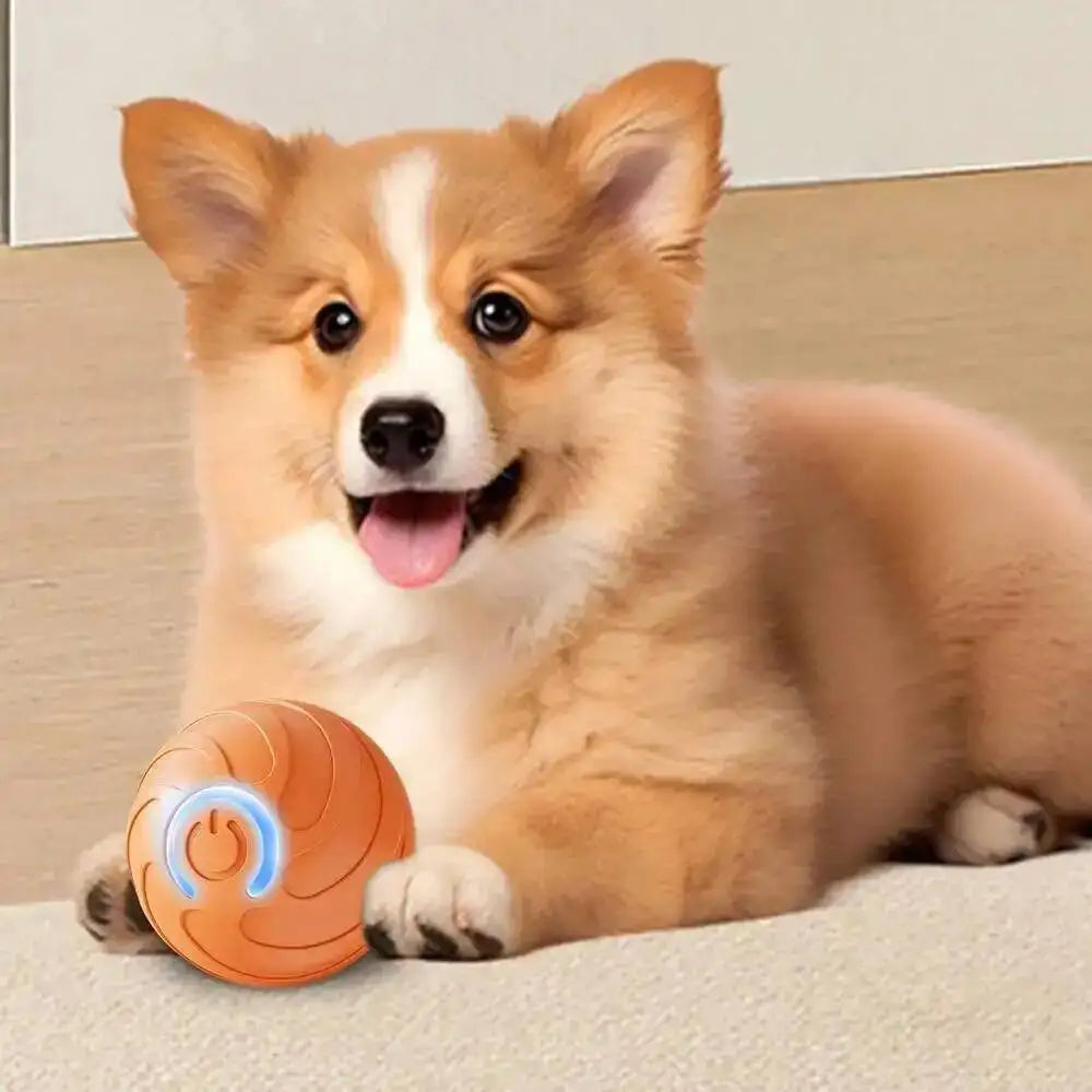 PawVibe™ Automatic Bouncing Dog Toy