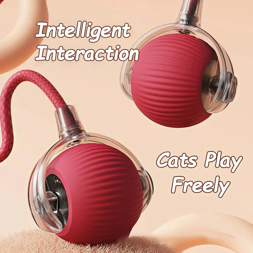 Smart Cat/Dog Play Ball