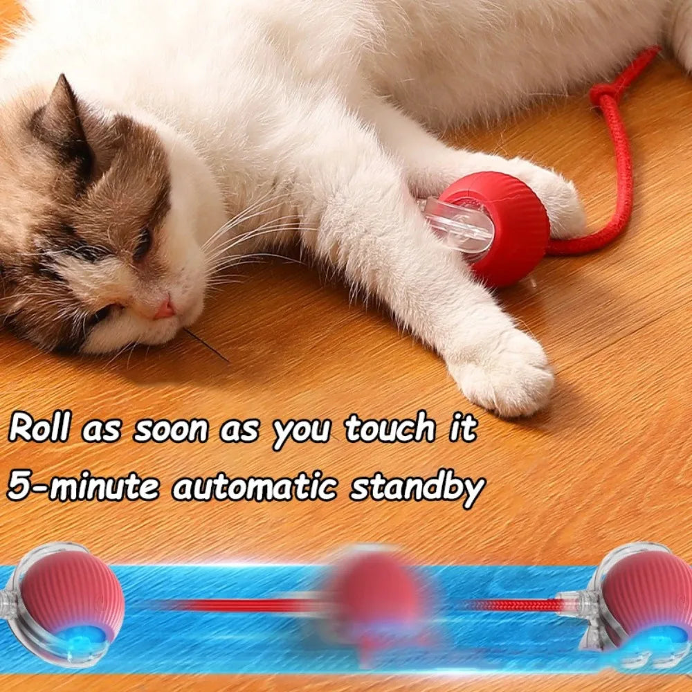 Smart Cat/Dog Play Ball