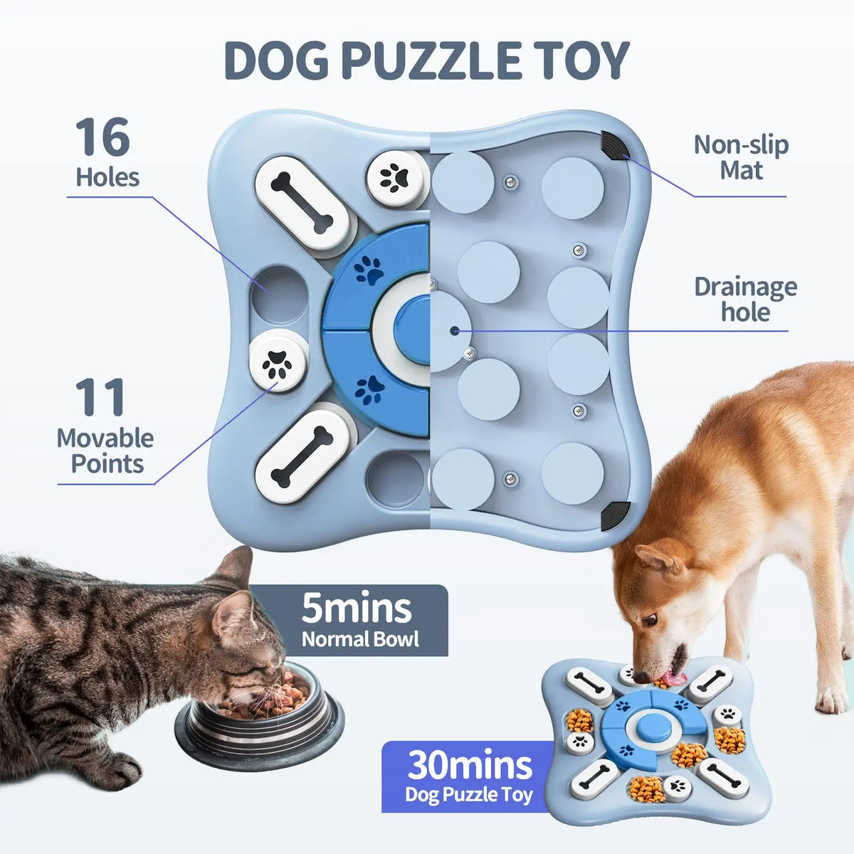 Smart Dog Feeder