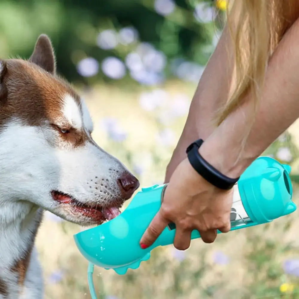 3-in-1 Dog Water Bottle for Walks & Travel