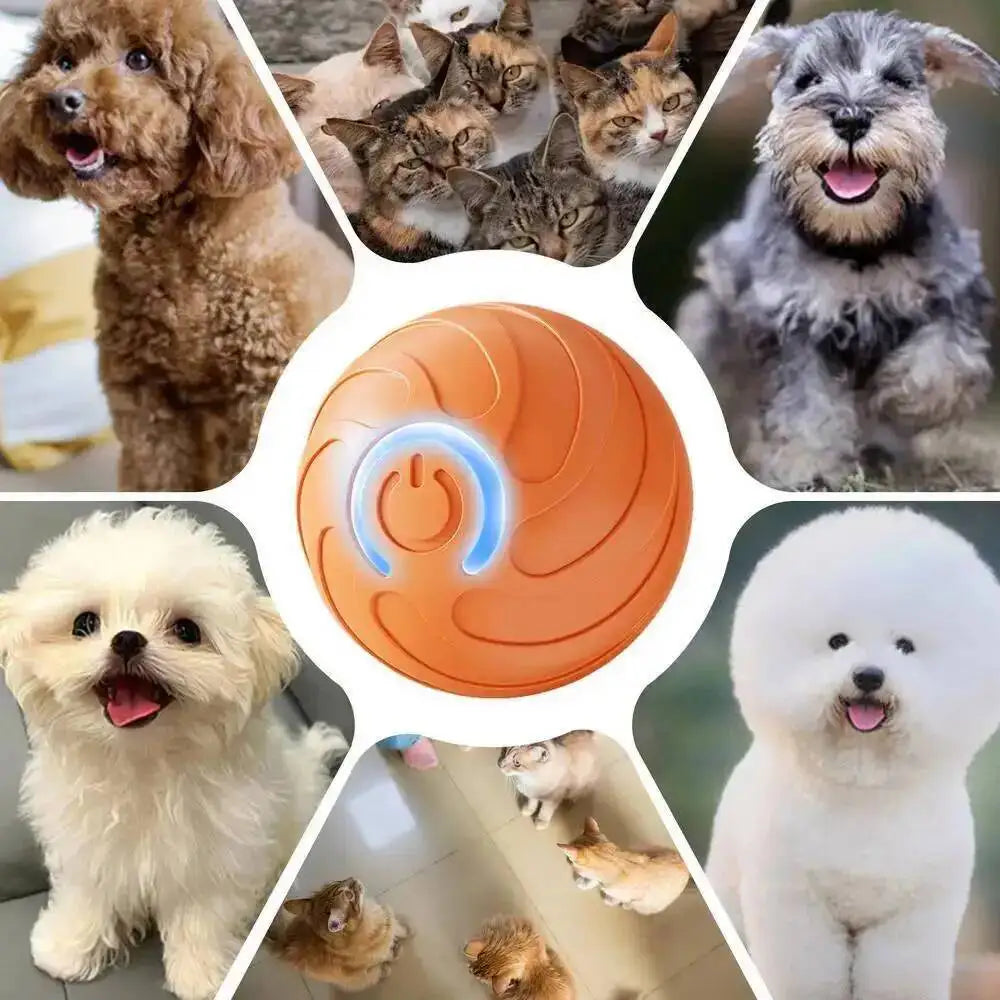 PawVibe™ Automatic Bouncing Dog Toy
