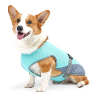 Dog Cooling Vest for Summer, Lightweight Jacket Dog Cooling Shirt, UV Protection Cooling Harness,Dog vest
