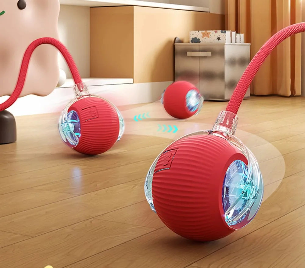 Smart Cat/Dog Play Ball