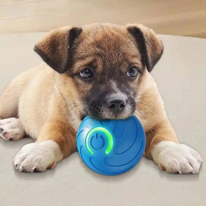 PawVibe™ Automatic Bouncing Dog Toy