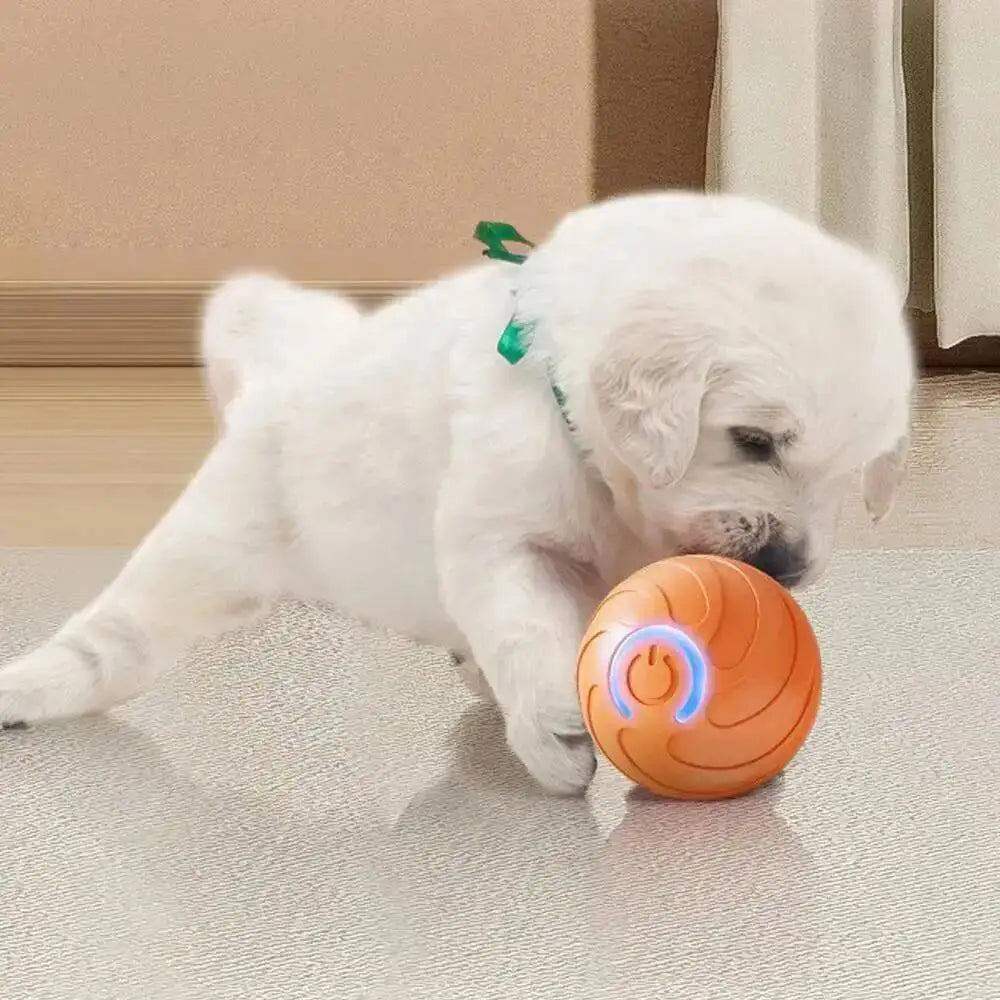 PawVibe™ Automatic Bouncing Dog Toy