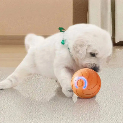 PawVibe™ Automatic Bouncing Dog Toy