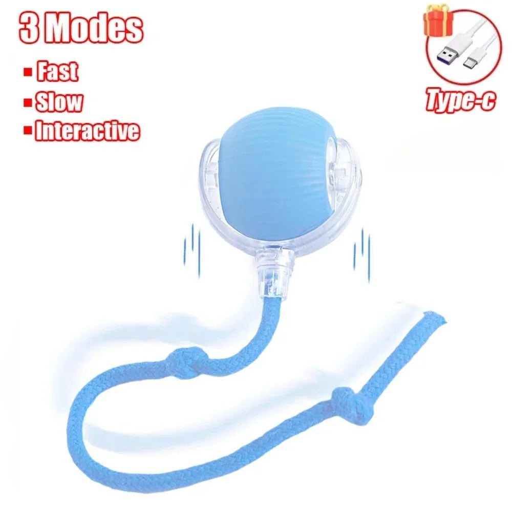 Smart Cat/Dog Play Ball