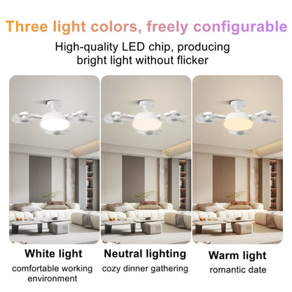 Airzen™ 2-in-1 Ceiling Fan Light