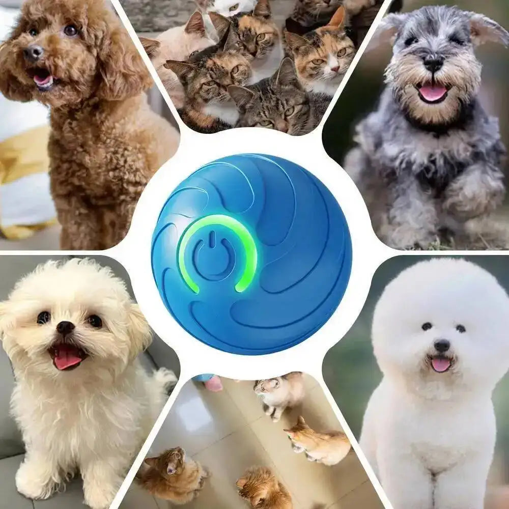 PawVibe™ Automatic Bouncing Dog Toy