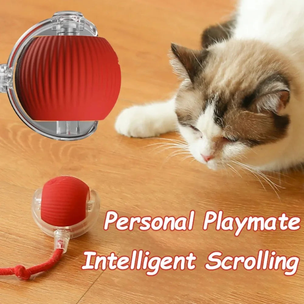 Smart Cat/Dog Play Ball