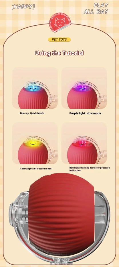 Smart Cat/Dog Play Ball