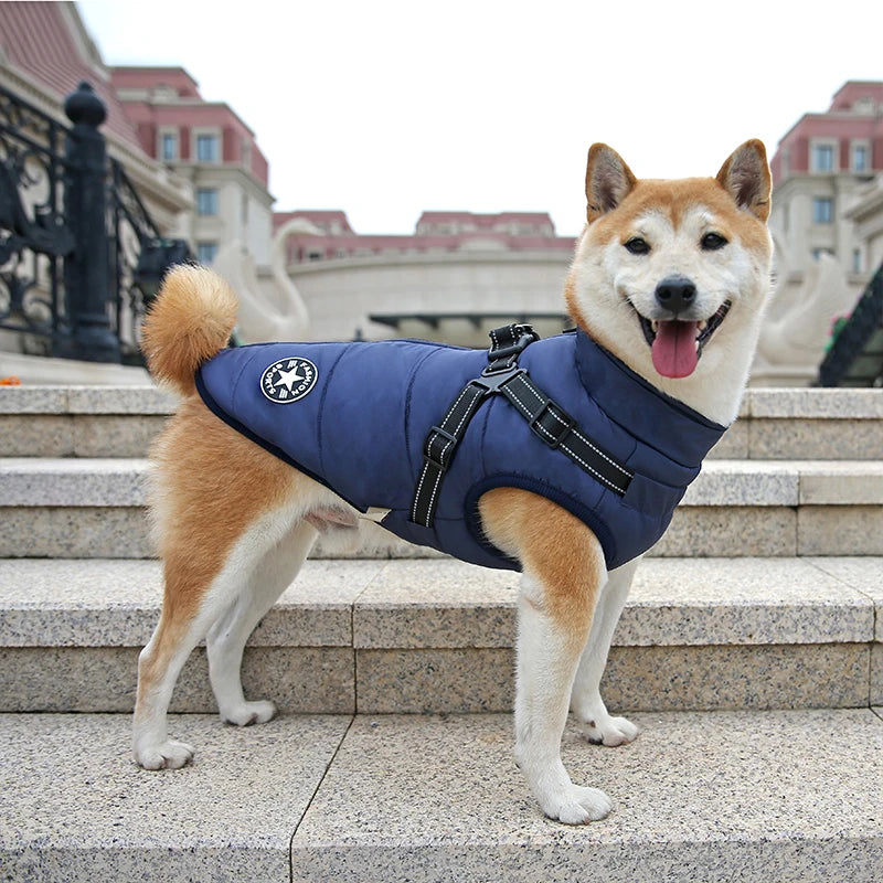 Waterproof Winter Dog vest