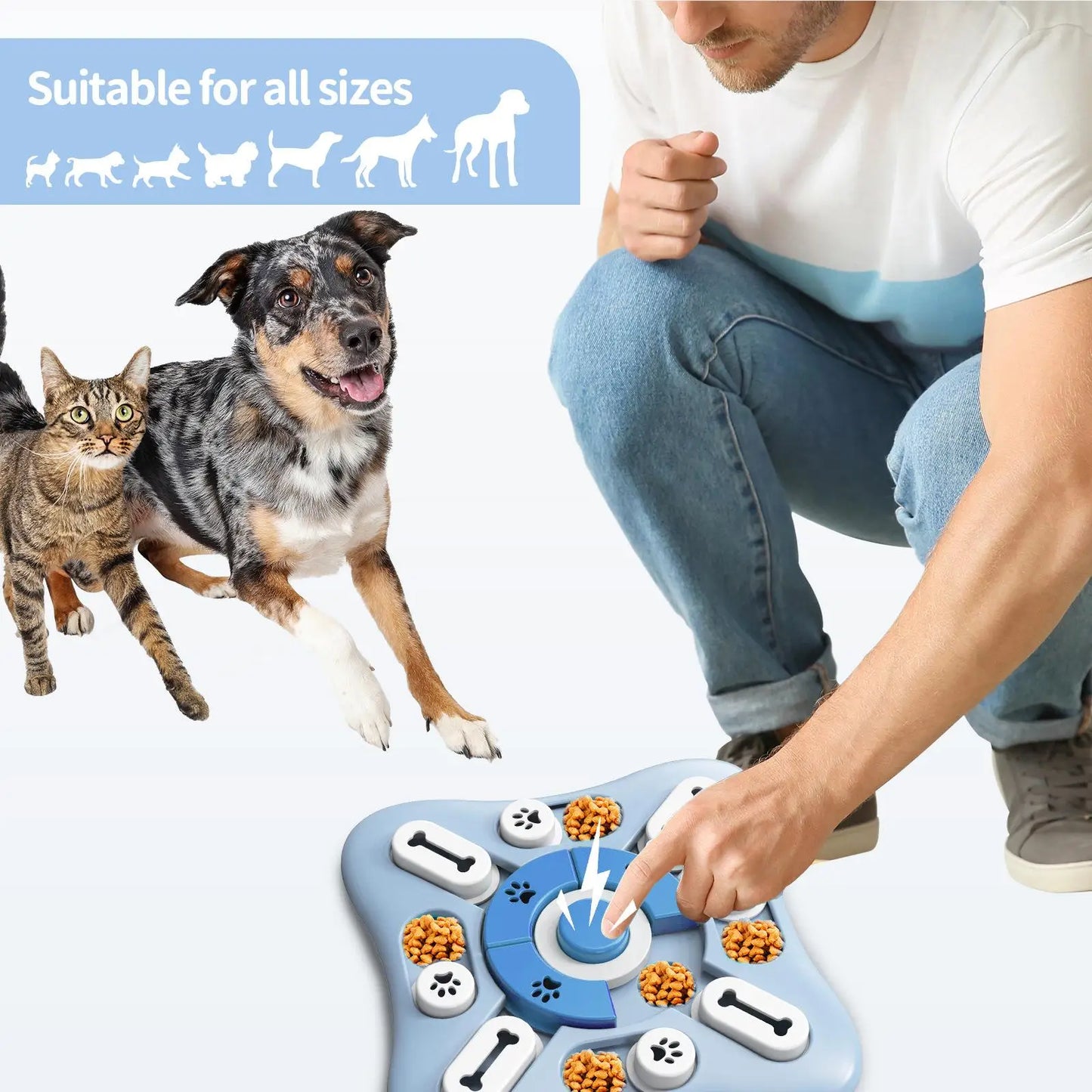 Smart Dog Feeder