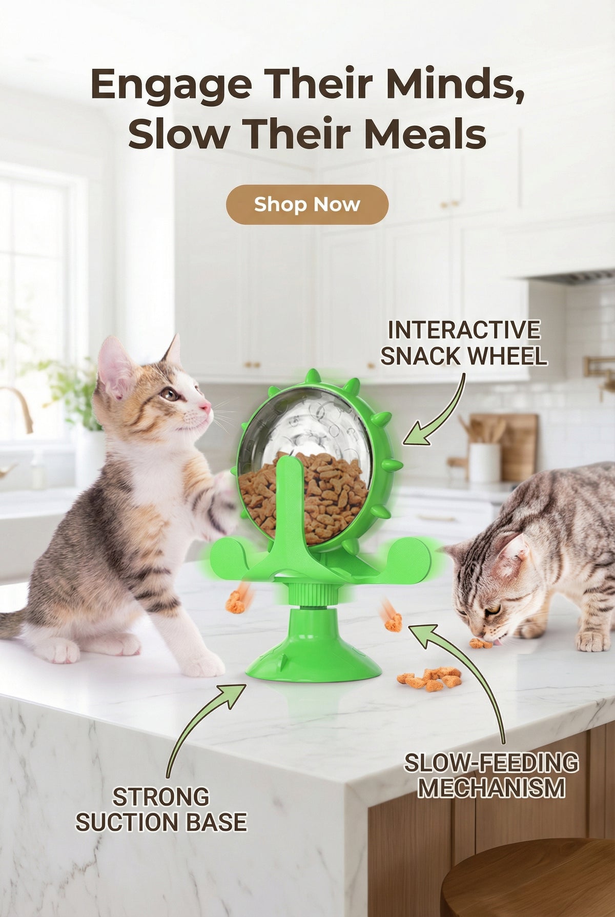 Pet Puzzle Feeder Toy