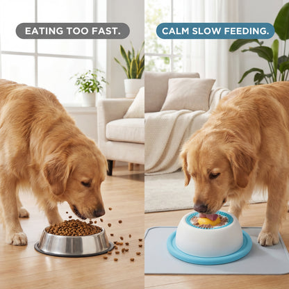 Stress-Relief Pet Lick Plate