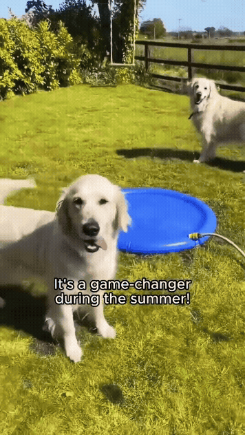Cool Splash Pet Play Mat
