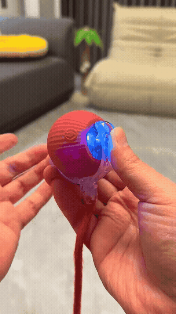 Smart Cat Play Ball
