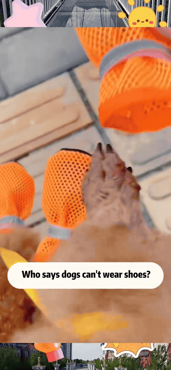 Paw Protector Dog Boots